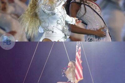 Beyoncé narrowly escapes a major accident during a concert, leaving her life hanging by a wire