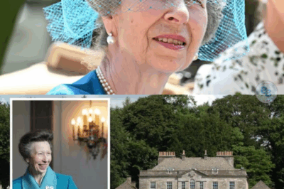 Royal family LIVE: Princess Anne leaves Gatcombe Park estate for solo trip Plus week two of Wimbledon kicks off – will we see any famous faces in the Royal Box?