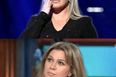 Kelly Clarkson’s Canceled Shows Explained: Attacks on Star Called ‘Unfair’ (Source)