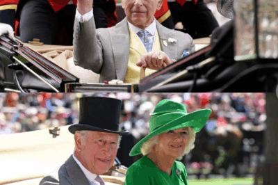 King Charles to give up royal train in modernising move